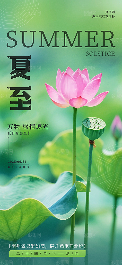 小清新夏至海报荷花夏天海报