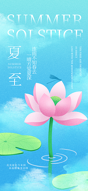 小清新夏至海报荷花夏天海报