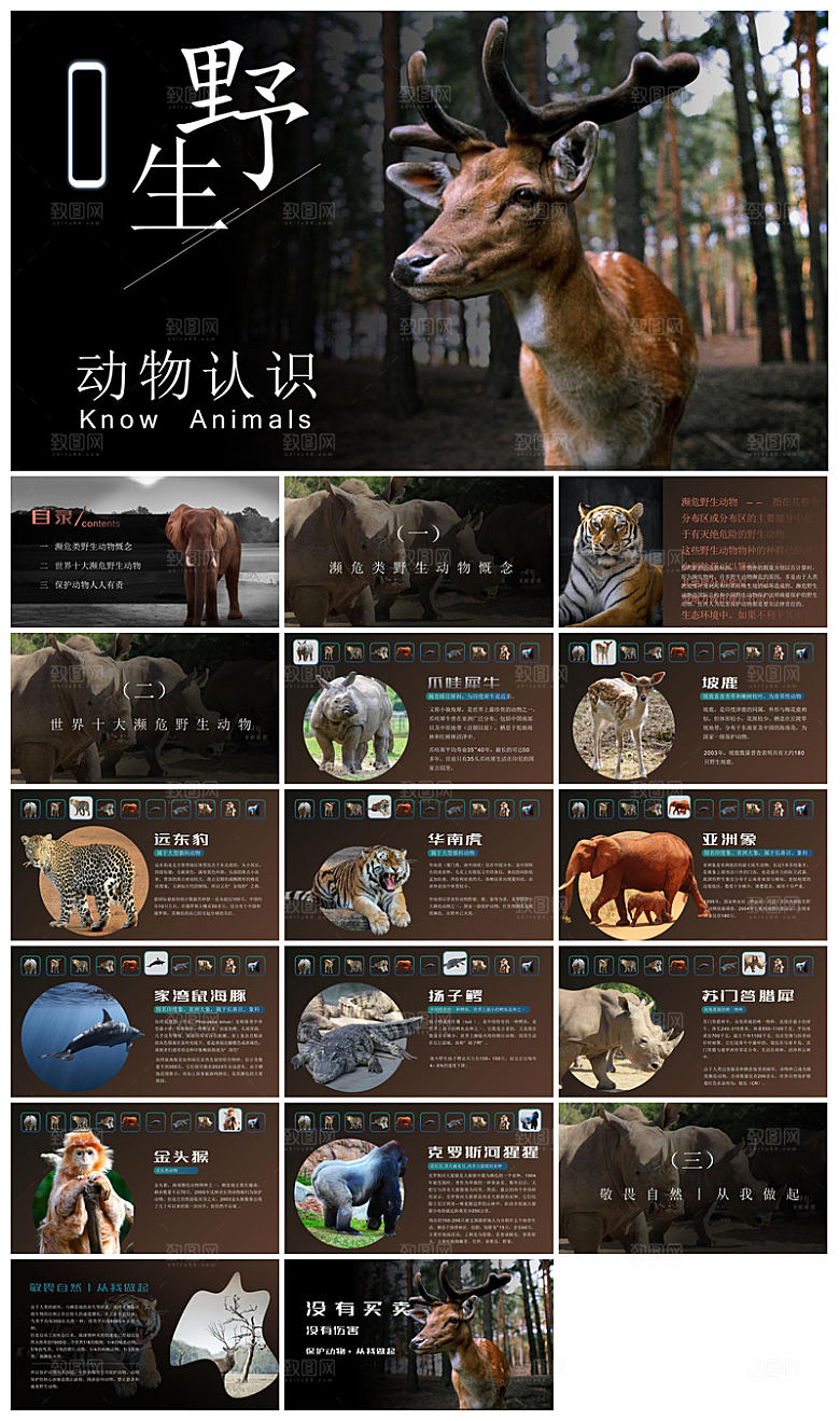 卡通儿童保护野生动物宣传主题班会课件