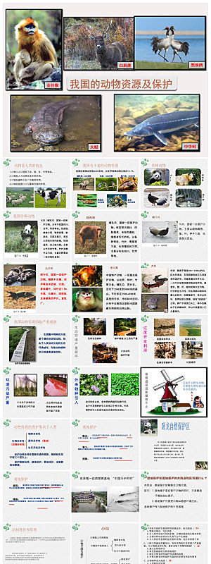 卡通儿童保护野生动物宣传主题班会课件