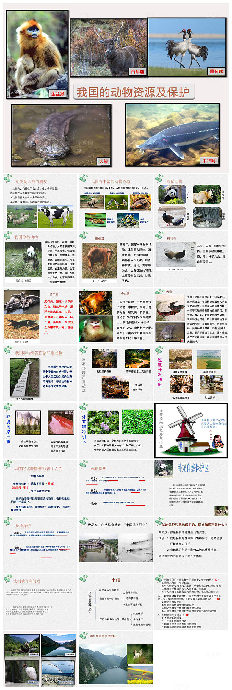 卡通儿童保护野生动物宣传主题班会课件