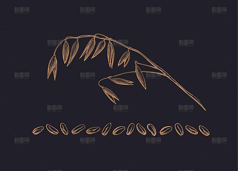 复古手绘谷物水稻大米小麦燕麦黑白线稿
