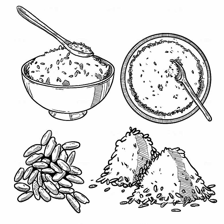 复古手绘谷物水稻大米小麦燕麦黑白线稿素材