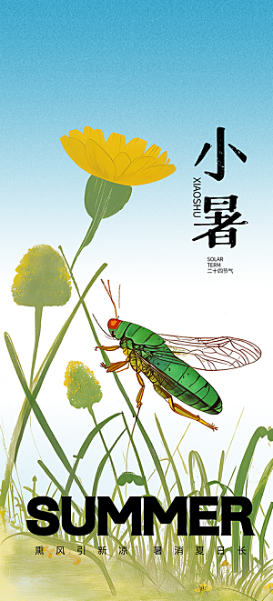 小暑夏天夏至海报
