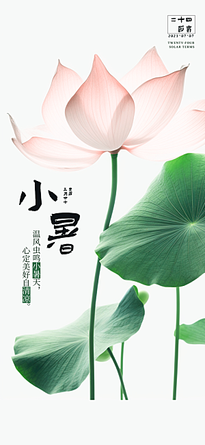 小暑夏天夏至海报