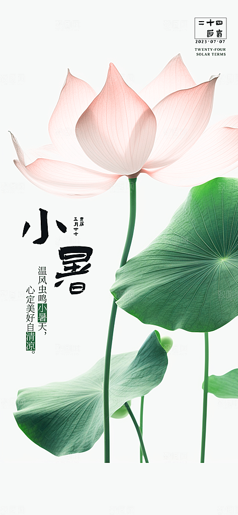 小暑夏天夏至海报