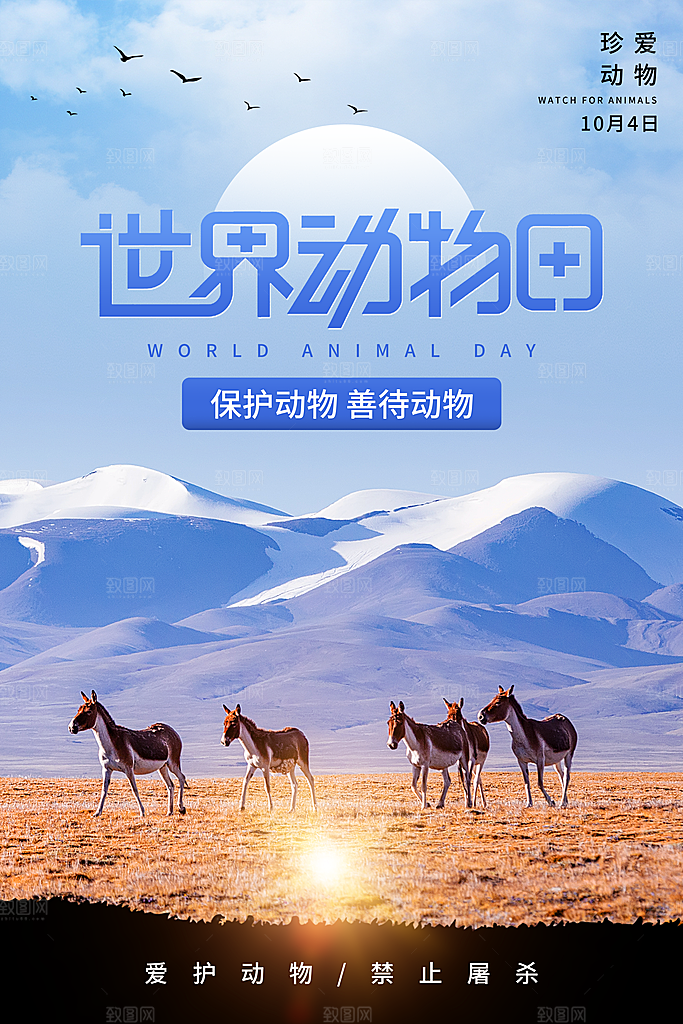 环保湿地动物森林气象海洋日保护环境海报