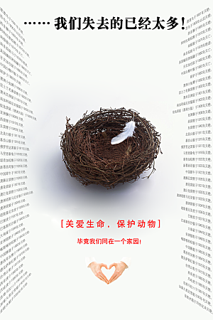 环保湿地动物森林气象海洋日保护环境海报