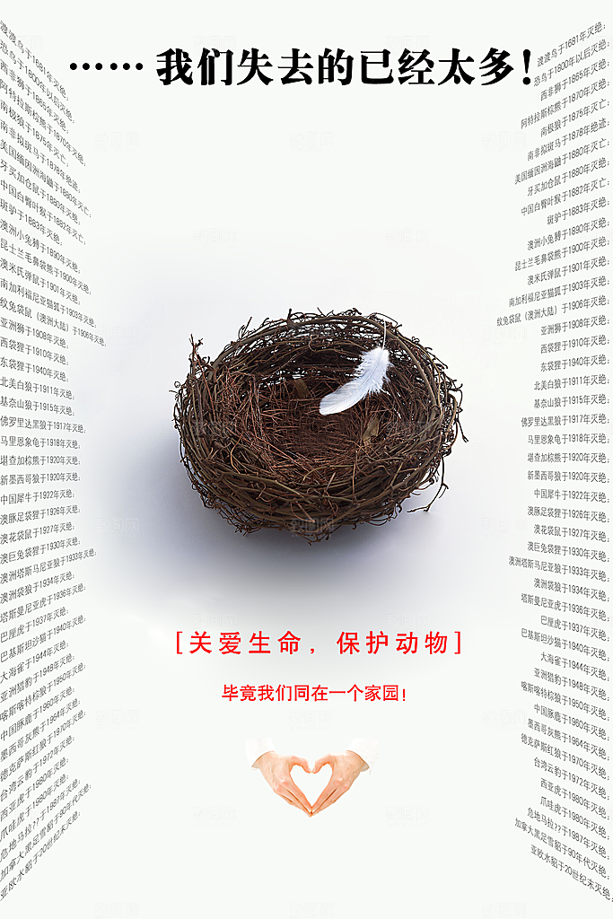 环保湿地动物森林气象海洋日保护环境海报