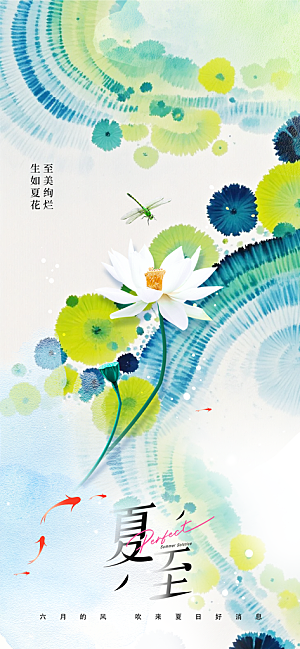 夏至节气简约海报