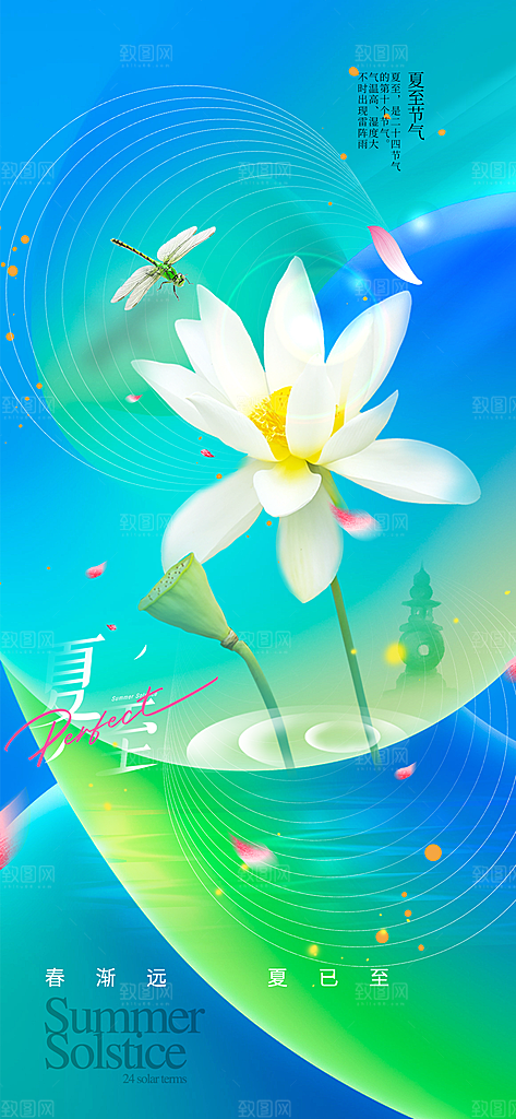 夏至节气简约海报