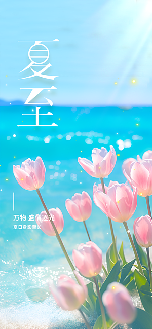 夏至节气简约海报