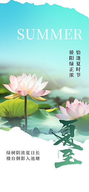 夏至节气简约海报