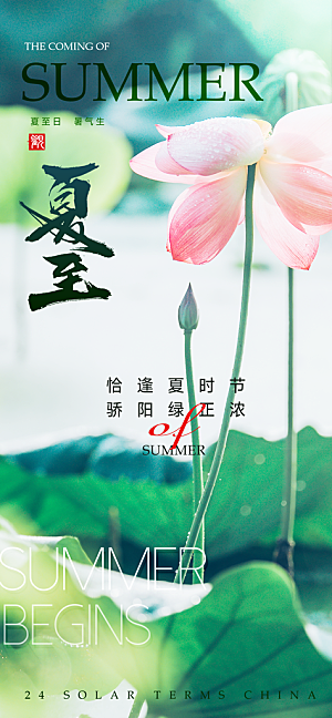 24节气夏至节日节庆营销宣传PSD海报