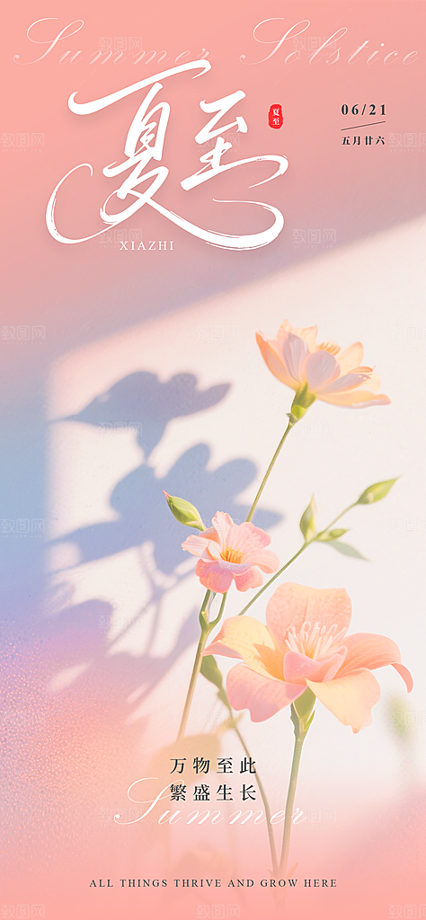 24节气夏至节日节庆营销宣传PSD海报