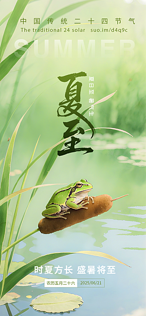 简约大气夏至节气宣传海报