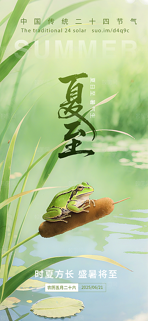 简约大气夏至节气宣传海报