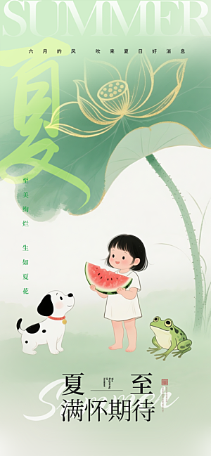 传统节气夏至宣传海报
