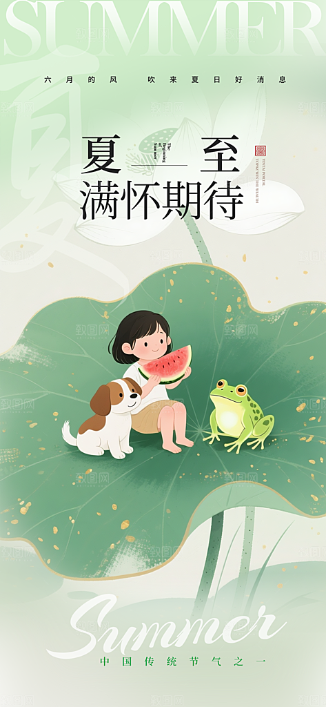 传统节气夏至宣传海报