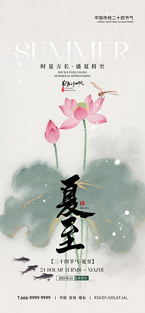 传统节气夏至宣传海报