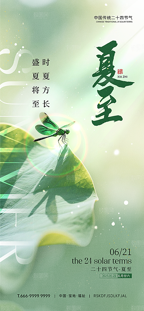 传统节气夏至宣传海报