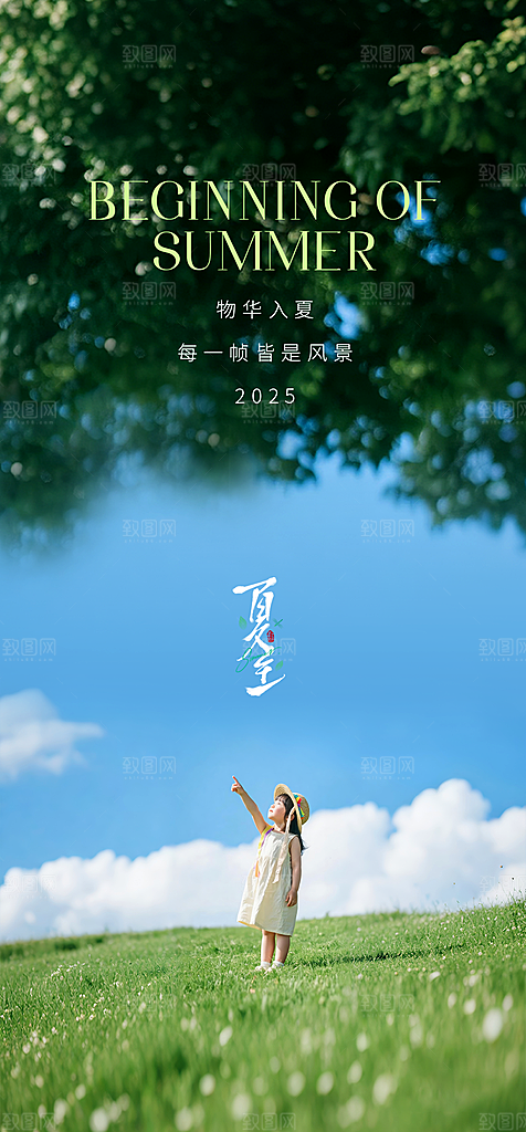 传统节气夏至宣传海报