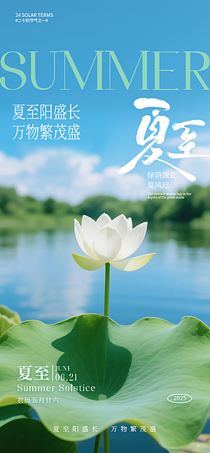 传统节气夏至宣传海报
