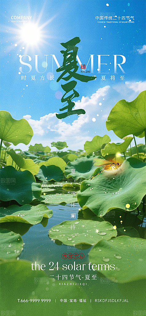 传统节气夏至宣传海报