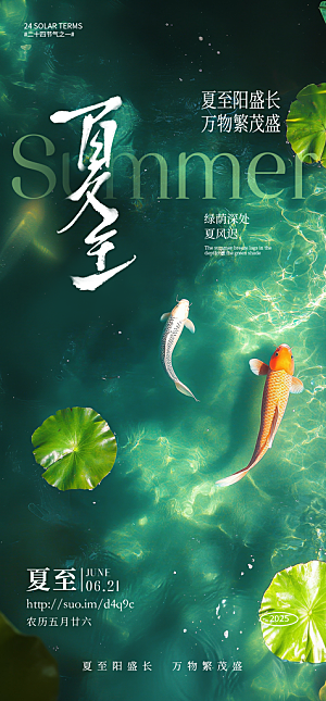 传统节气夏至宣传海报