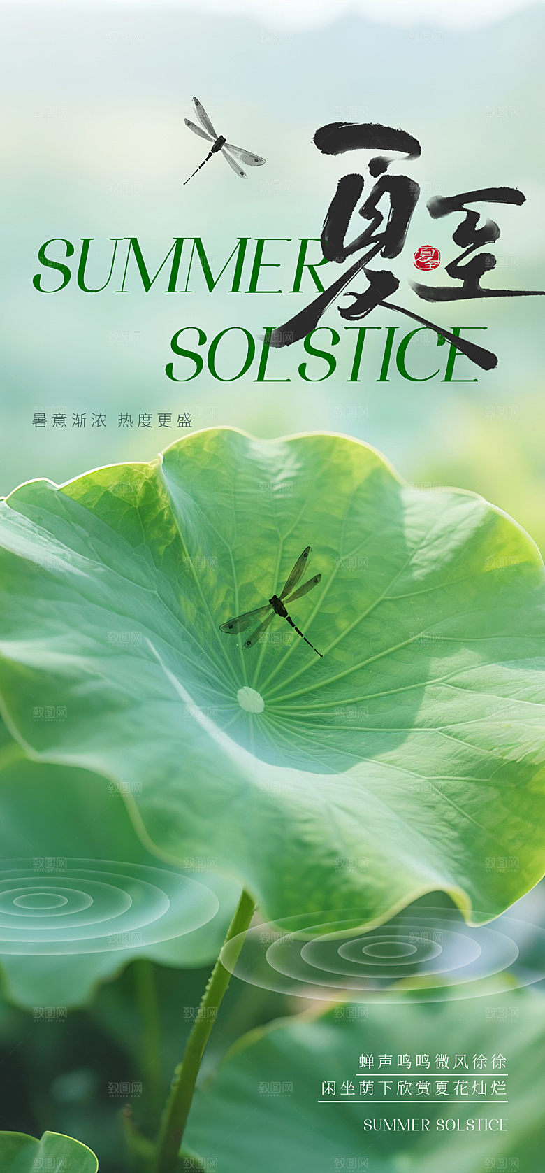 传统节气夏至宣传海报