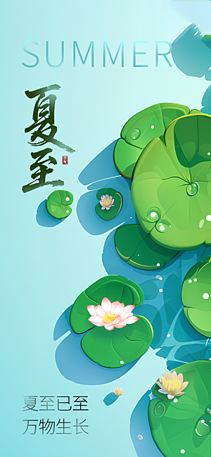 简约大气夏至节气宣传海报