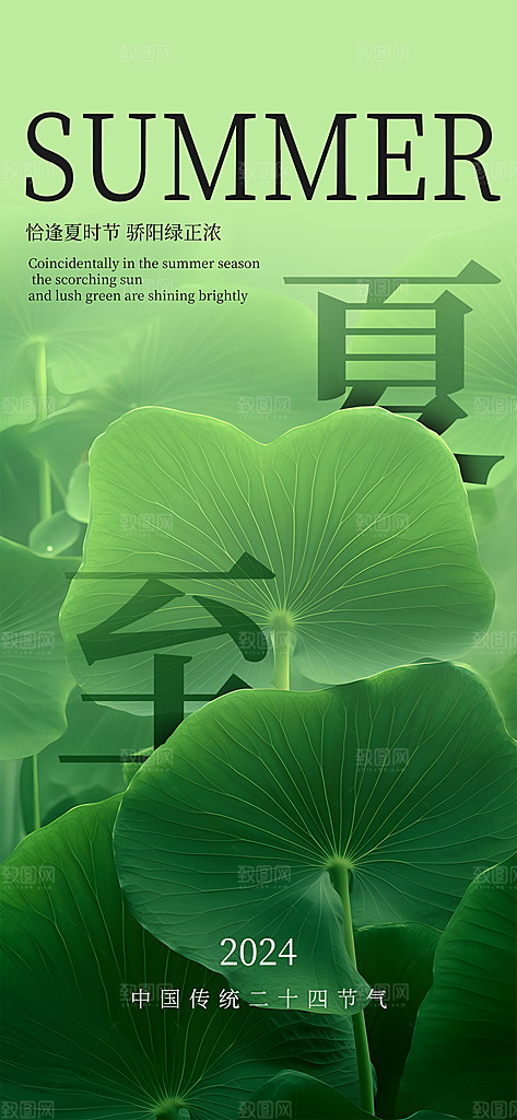 传统节气夏至宣传海报