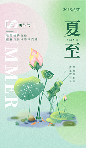传统节气夏至宣传海报