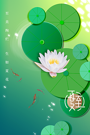 夏至小清新节日海报