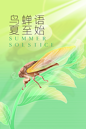 夏至节气传统海报