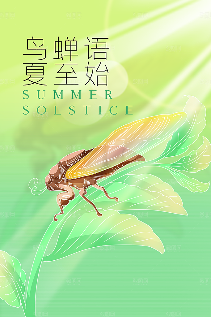 夏至节气传统海报