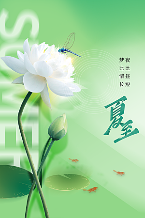 夏至节气传统海报