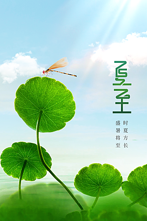 夏至节气传统海报