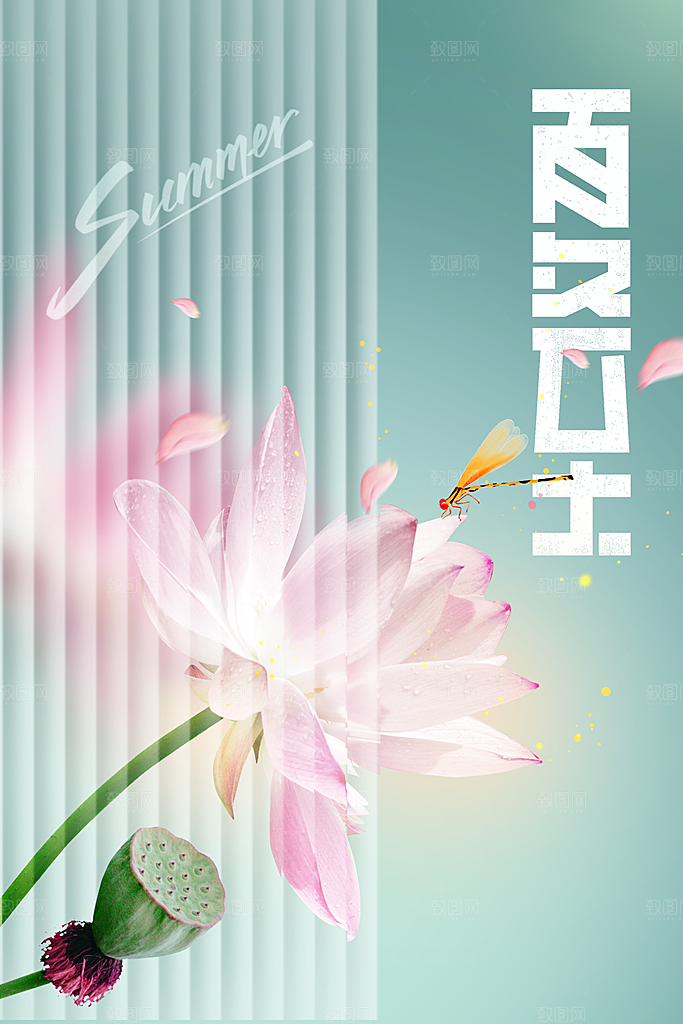 夏至节气传统海报