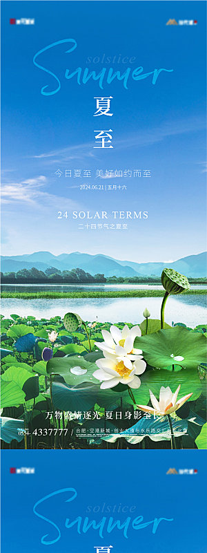 简约大气夏至节气宣传海报
