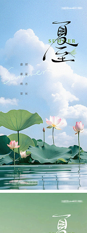 传统节气夏至宣传海报