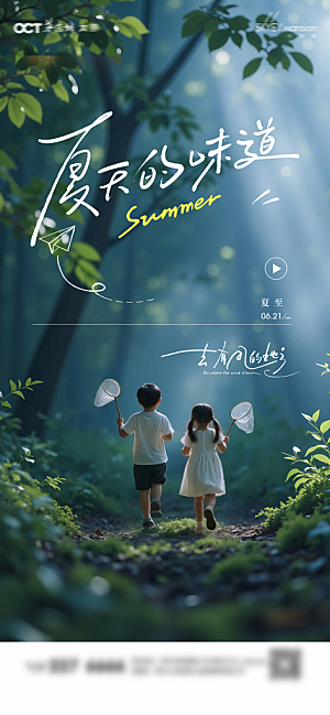 传统节气夏至宣传海报