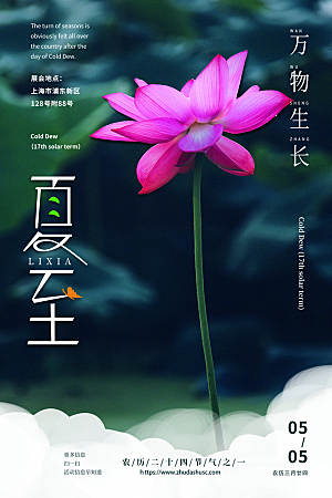 传统节气夏至宣传海报