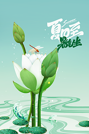 夏至节气传统海报