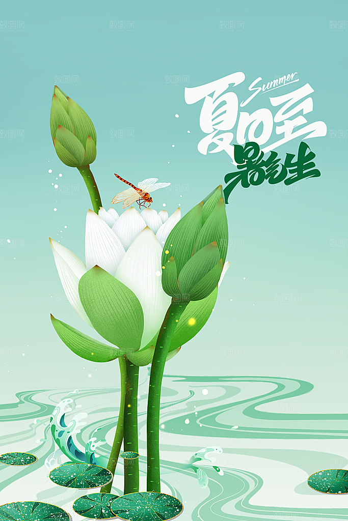 夏至节气传统海报