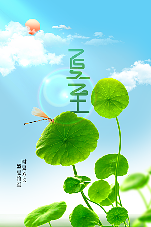 夏至节气传统海报