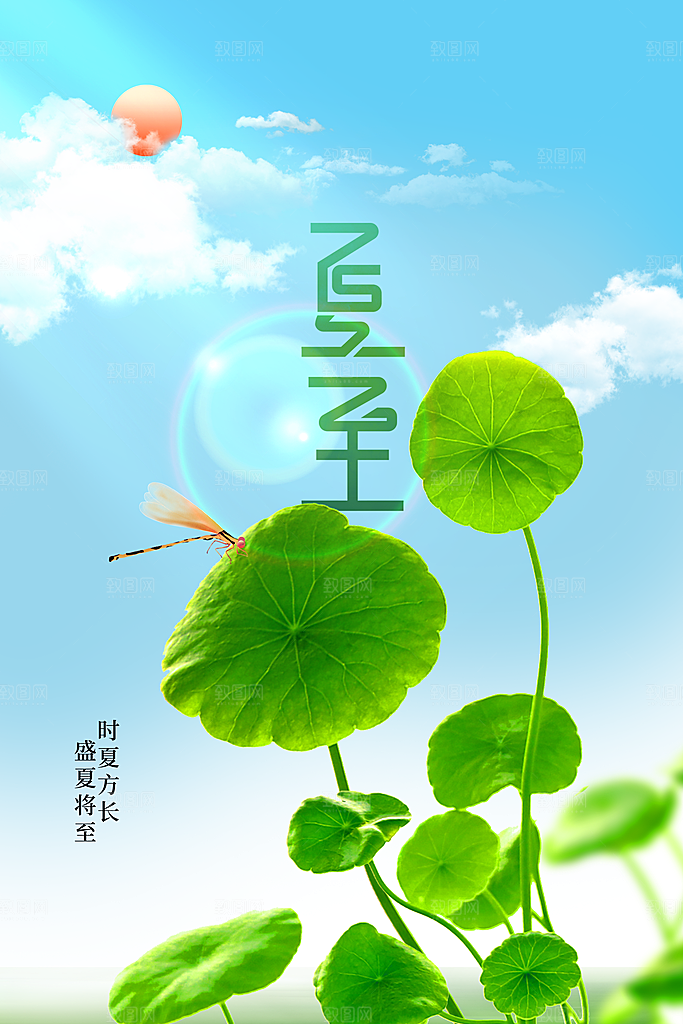夏至节气传统海报