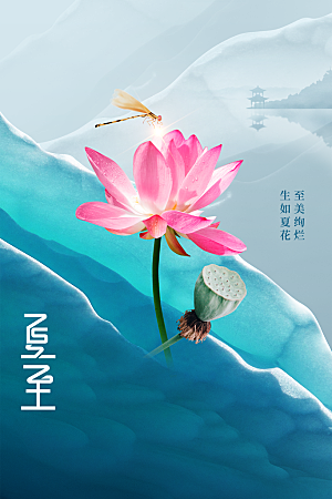 夏至节气传统海报