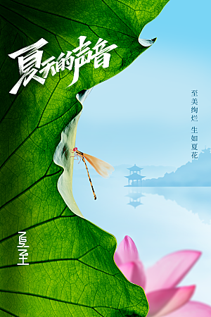 夏至节气传统海报
