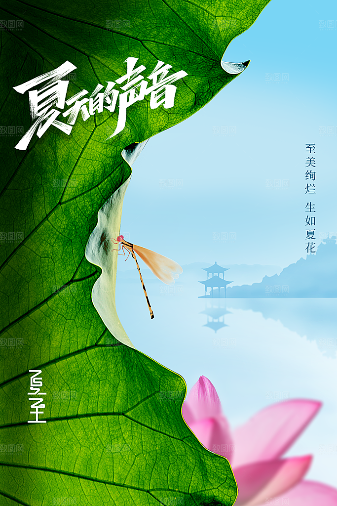 夏至节气传统海报